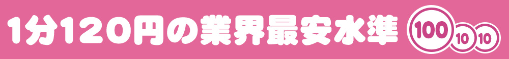 業界最安値